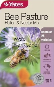 BEE PASTURE MIX SEED PACKET