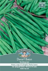 DWARF BEAN TENDER GREEN SEED PACKET