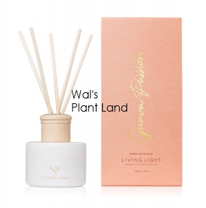 GUAVA PASSION REED DIFFUSER TESTER