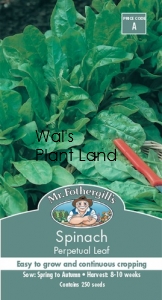 SPINACH PERPETUAL LEAF SEED PACKET