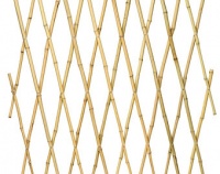 BAMBOO STAKES 1.5M