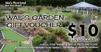 Wal's Voucher _Garden Gift Voucher $10