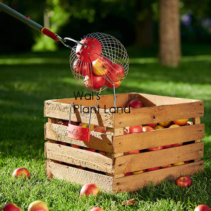 WOLF GARTEN FRUIT COLLECTOR