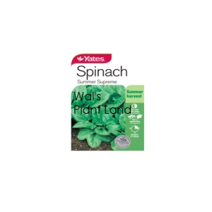 SPINACH SUMMER SUPREME SEED PACKET