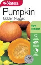 PUMPKIN GOLDEN NUGGET SEED PACKET