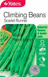 BEANS SCARLET RUNNER SEED PACKET