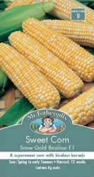 SWEET CORN SNOW GOLD F1 SEED PACKET