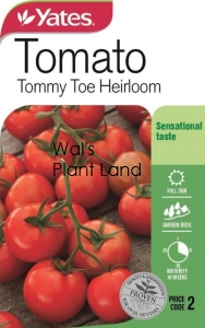 TOMATO TOMMY TOE SEED PACKET