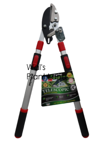 TELESCOPIC RATCHET LOPPER