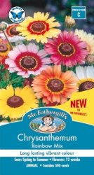 CHRYSANTHEMUM RAINBOW MIX SEED PACKET