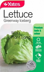 LETTUCE GREENWAY SEED PACKET