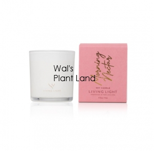 MORNING NECTAR SOY CANDLE MINI