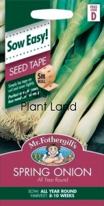 SPRING ONION ALL YEAR SEED TAPE