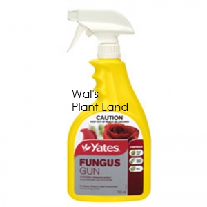 YATES FUNGUS GUN 750ML