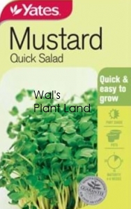 MUSTARD QUICK SALAD NZ SEED PACKET