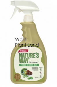 NATURES WAY NATRASOAP VEGIE READY TO USE