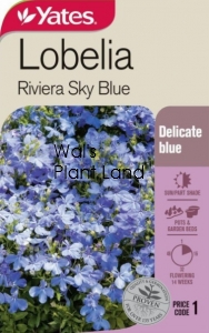 LOBELIA RIVERIA SKY BLUE SEED PACKET