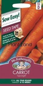 CARROT MANCHESTER TABLE SEED TAPE