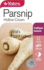 PARSNIP HOLLOW CROWN SEED PACKET