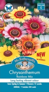 CHRYSANTHEMUM RAINBOW MIX SEED PACKET