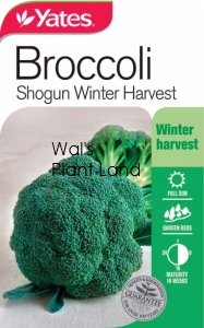 BROCCOLI SHOGUN WINTER HARVEST SEED PACKET