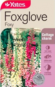 FOXGLOVE FOXY SEED PACKET