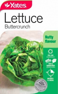 LETTUCE BUTTERCRUNCH SEED PACKET