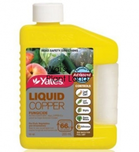 YATES COPPER FUNGICIDE 200ML