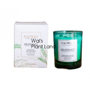 ABUNDANCE SANDALWOOD WITH JADE CRYSTAL ENERGY CANDLE 200GM