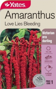 AMARANTHUS LOVE LIES BLEED SEED PACKET