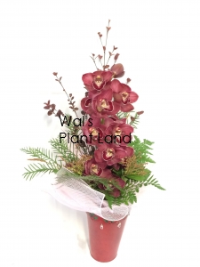 EXQUISITE ORCHID BURGUNDY