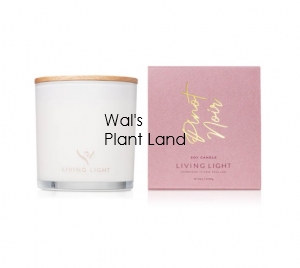 PINOT NOIR SOY CANDLE - LARGE LIVING LIGHT