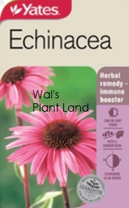 MEDICINAL ECHINACEA SEED PACKET