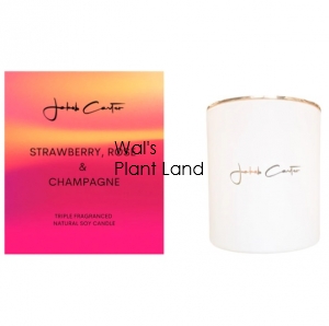 STRAWBERRY ROSE & CHAMPAGNE SOY CANDLE