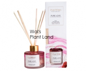 PURE LOVE ROSE REED DIFFUSER WITH ROSE QUARTZ CRYSTAL ENERGY