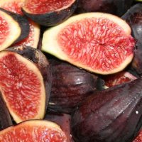 FIG BRUNORO BLACK