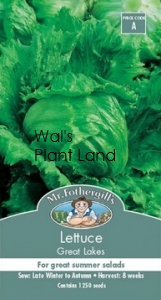 LETTUCE GREAT LAKES SEED PACKET