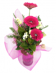 BOUQUET BRIGHT GERBERAS