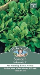 SPINACH ANDROMEDA F1 HYBRID SEED PACKET