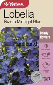 LOBELIA RIVIERA MIDNIGHT BLUE NZ SEED PACKET