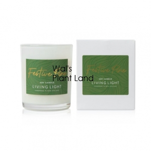 FESTIVE PINE SOY CANDLE MINI LIVING LIGHT