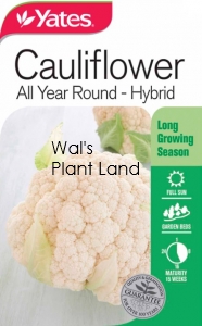 CAULIFLOWER ALL YEAR ROUND SEED PACKET