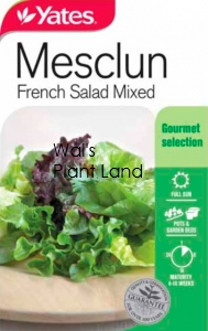 MESCLUN FRENCH SALAD SEED PACKET