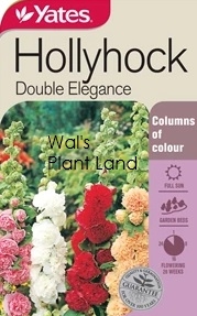 HOLLYHOCK DOUBLE ELEGANCE SEED PACKET