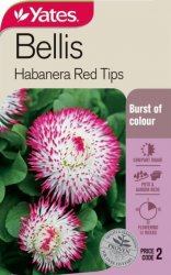 BELLIS HABANERA RED TIPS SEED PACKET