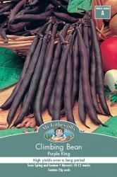 CLIMBING BEAN PURPLE KING SEED PACKET