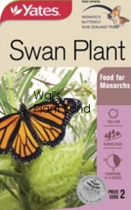 SWAN PLANT NZ SEED PACKET