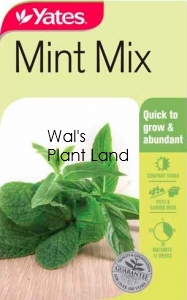 MINT MIX SEED PACKET