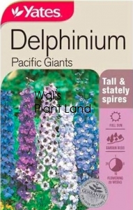 DELPHINIUM PACIFIC GIANTS SEED PACKET