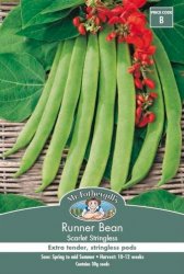 RUNNER BEAN SCARLET RUNNER STRINGLESS SEED PACKET